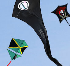 Girl flying a kite on Streatham Common