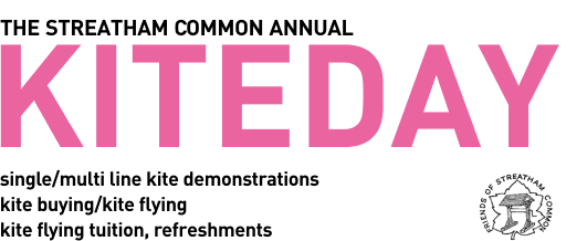 Streatham Common Annual Kite Day