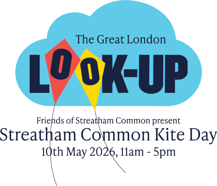 Streatham Kite Day 2026