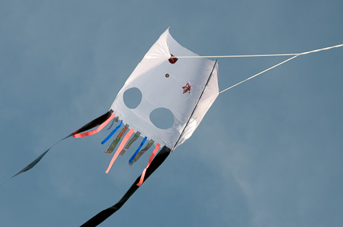 sled kite